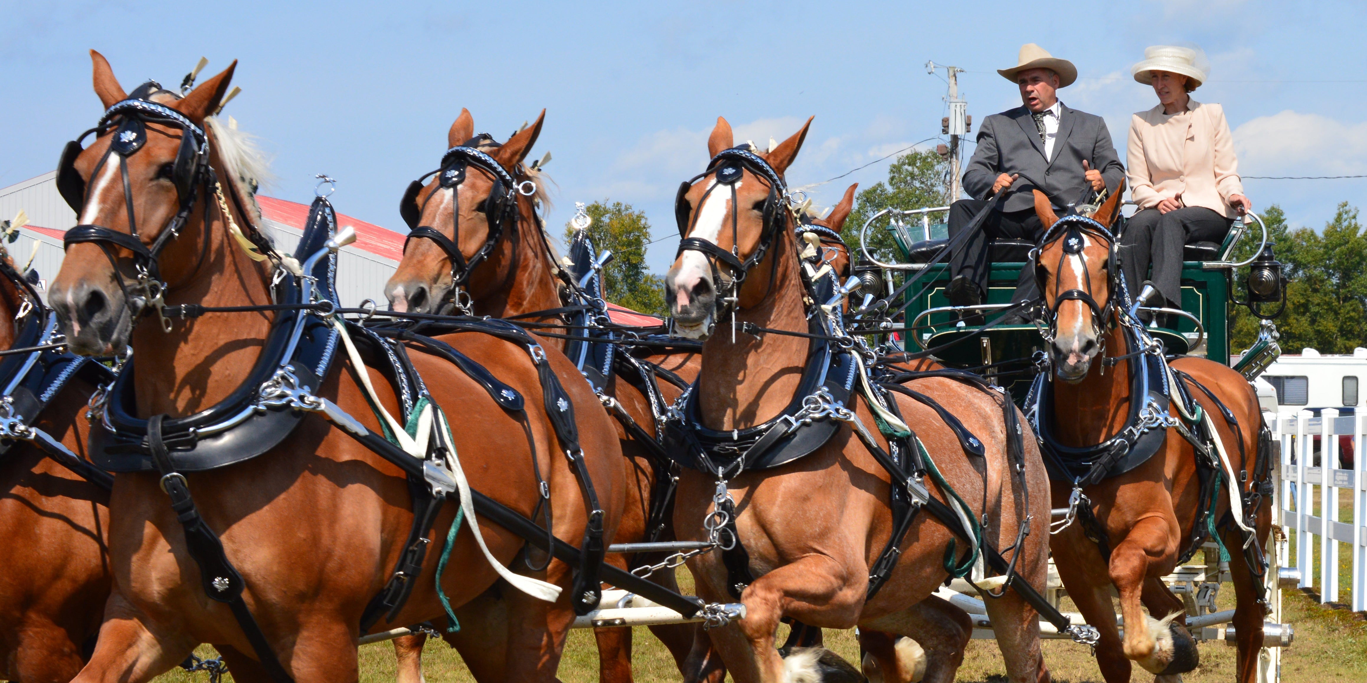 Lancaster Fair